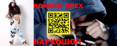 шишки Лесосибирск