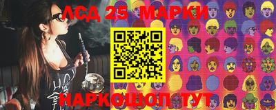 шишки Лесосибирск