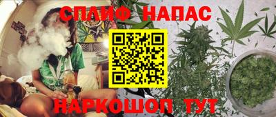 шишки Лесосибирск