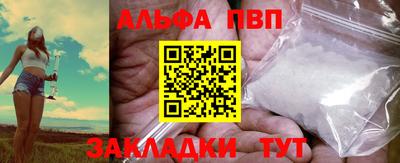 шишки Лесосибирск