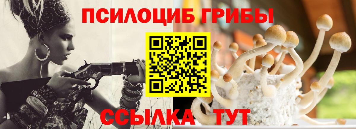 Галлюциногенные грибы Psilocybe  Вход с VPN  Аксай 